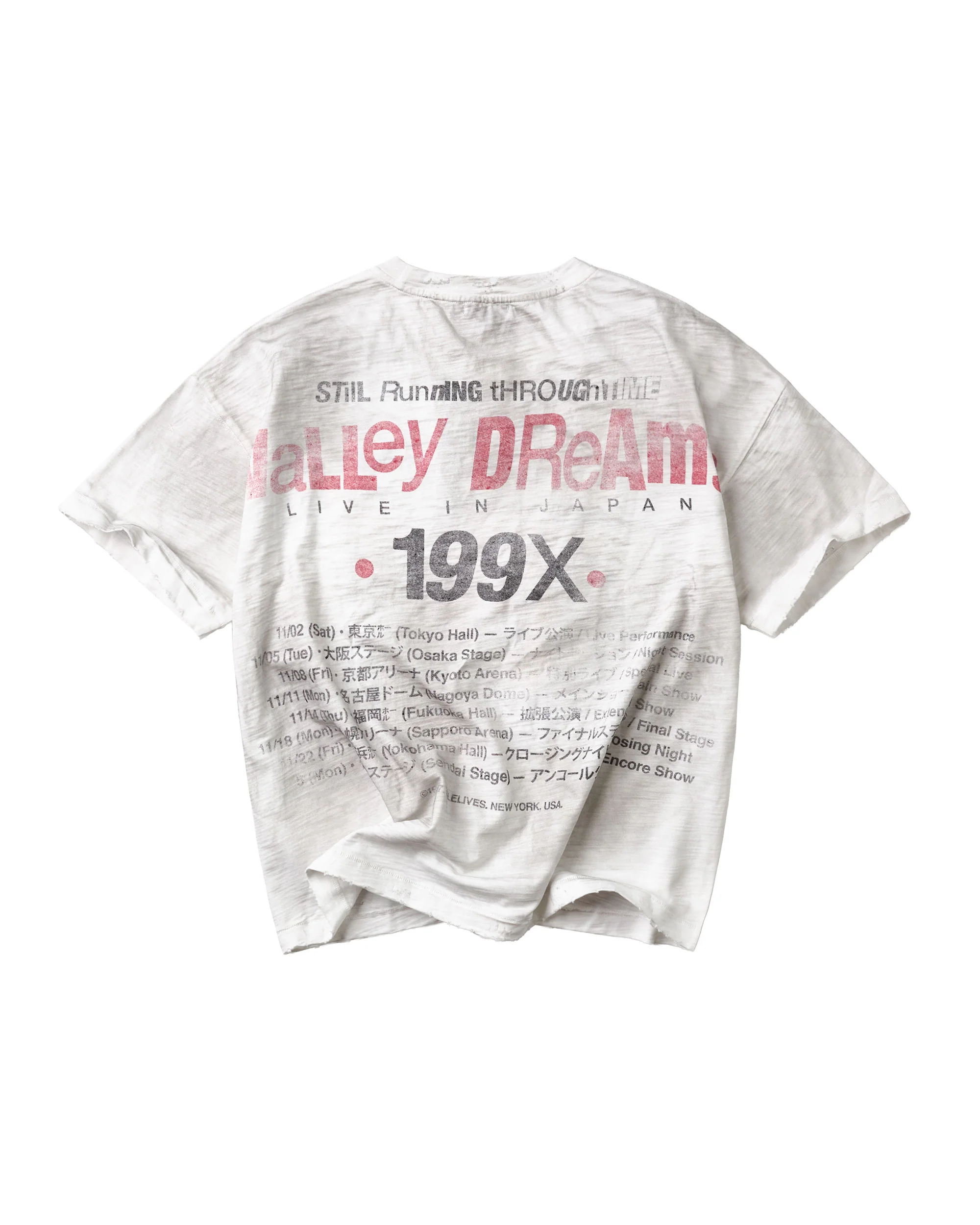 VALE WORLD TEE [WHITE] - Image 2